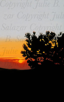 A Peaceful End - Southwest Landscape Print Series